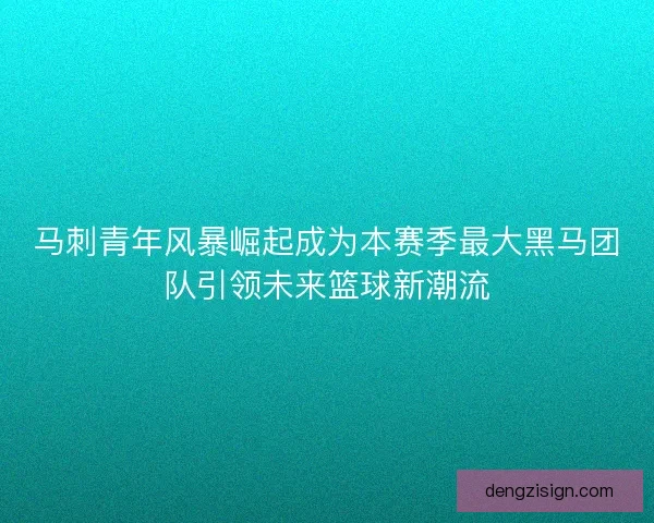 马刺青年风暴崛起成为本赛季最大黑马团队引领未来篮球新潮流